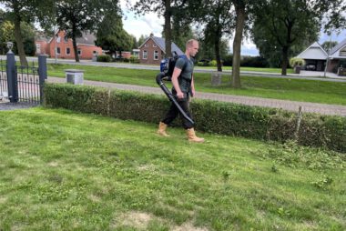 Tuin